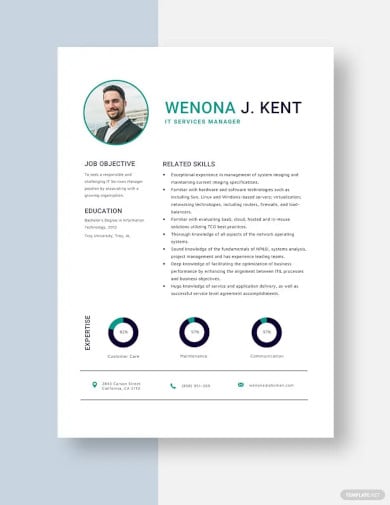 it services manager resume template
