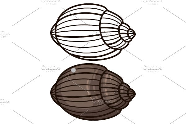 outline seashell coloring page
