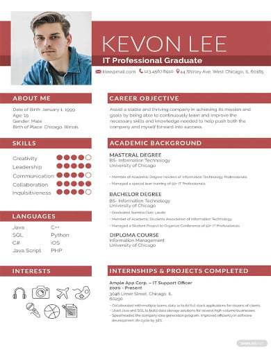 professional resume for freshers templates