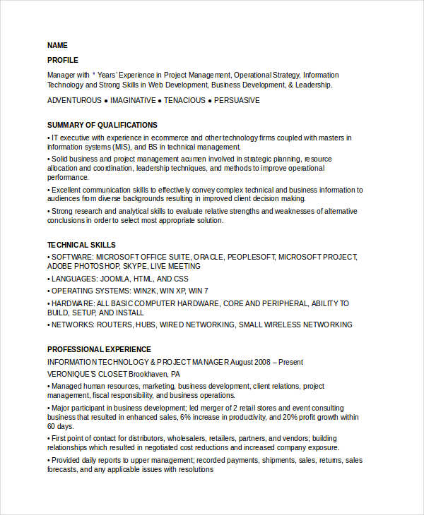 it business development manager resume