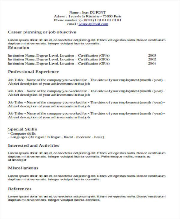 experience professional resume format