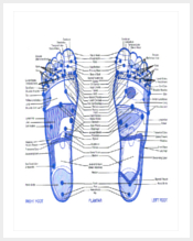 foot-reflexology-chart-template
