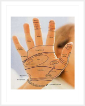 hand-reflexology-chart-template