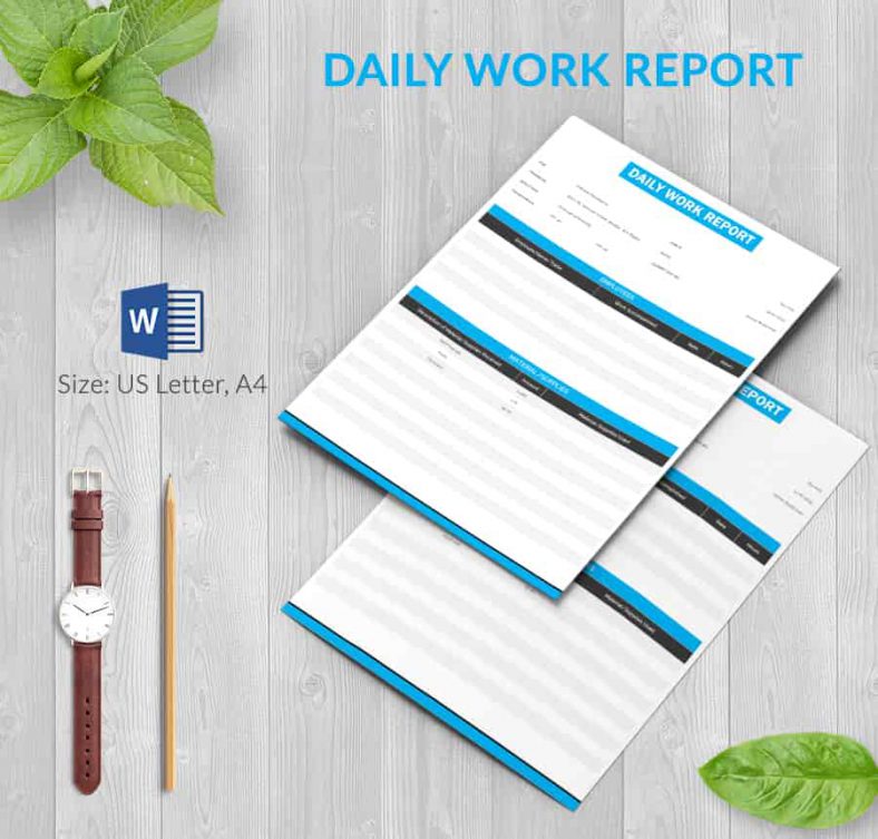 System administrator daily works report
