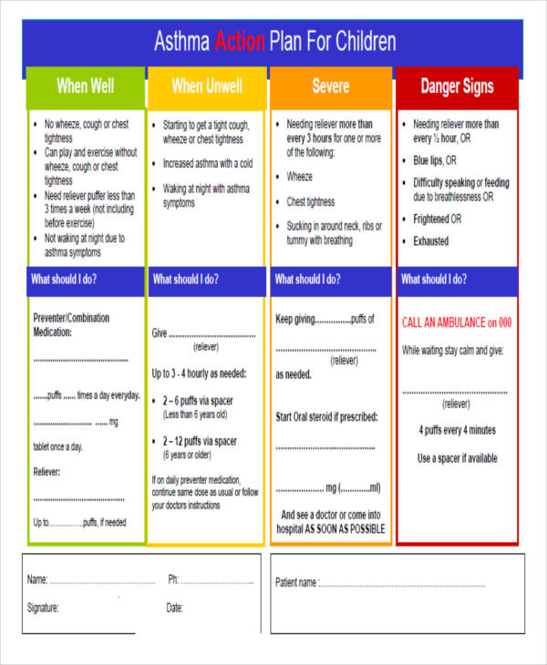 34+ Management Plan Templates in PDF