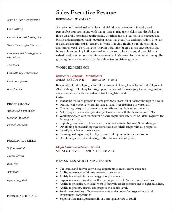 Executive Resume Examples - 27 Free Word, PDF Documents Download | Free ...