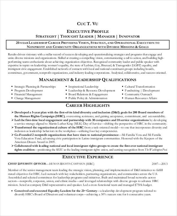 best executive resume templates 27 free word pdf