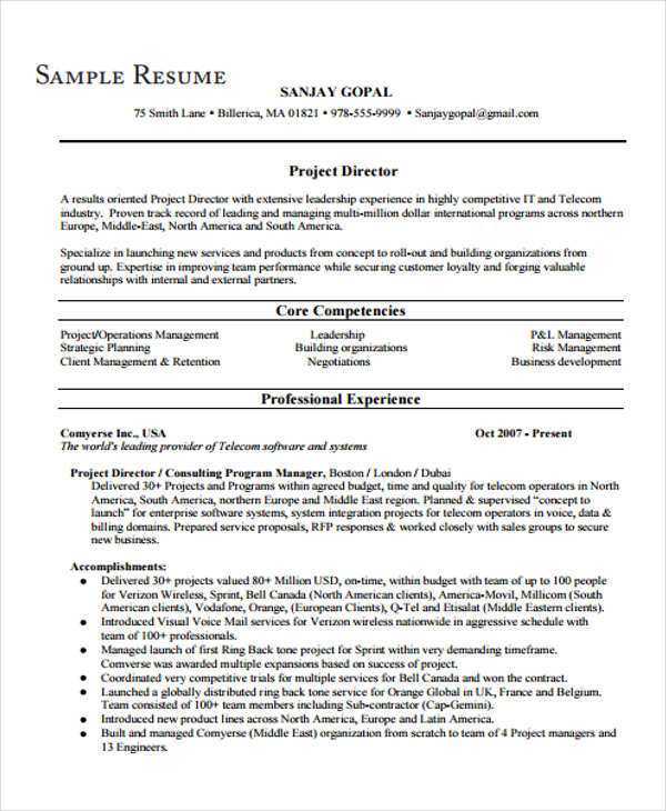 professional business resume format9