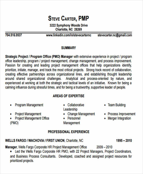 38+ Manager Resume Templates - PDF, DOC