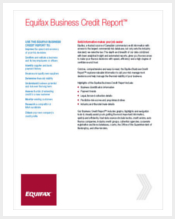 business-credit-report-template