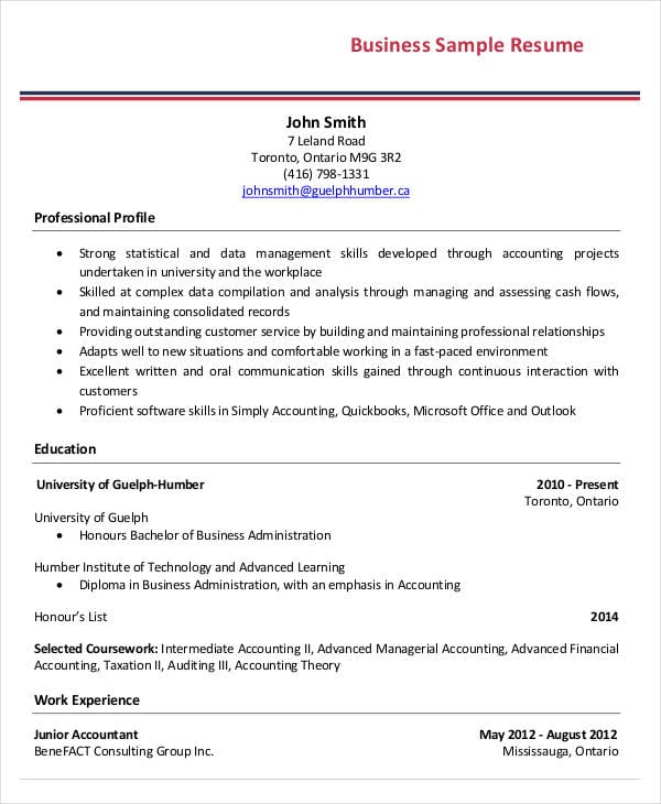 professional business resume sample