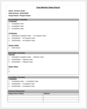 team-member-status-report-template