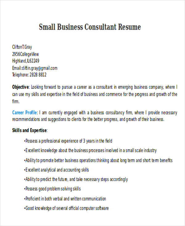 small business consultant resume