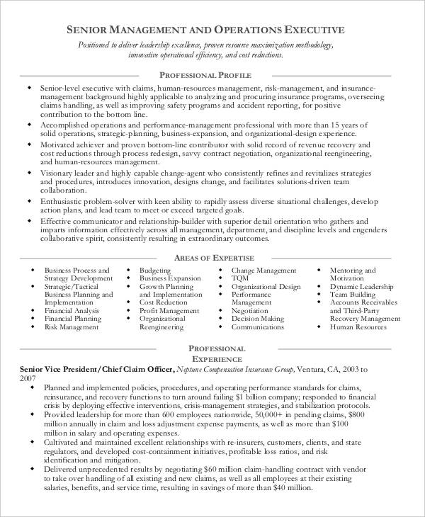 52+ Professional Manager Resumes - PDF, DOC