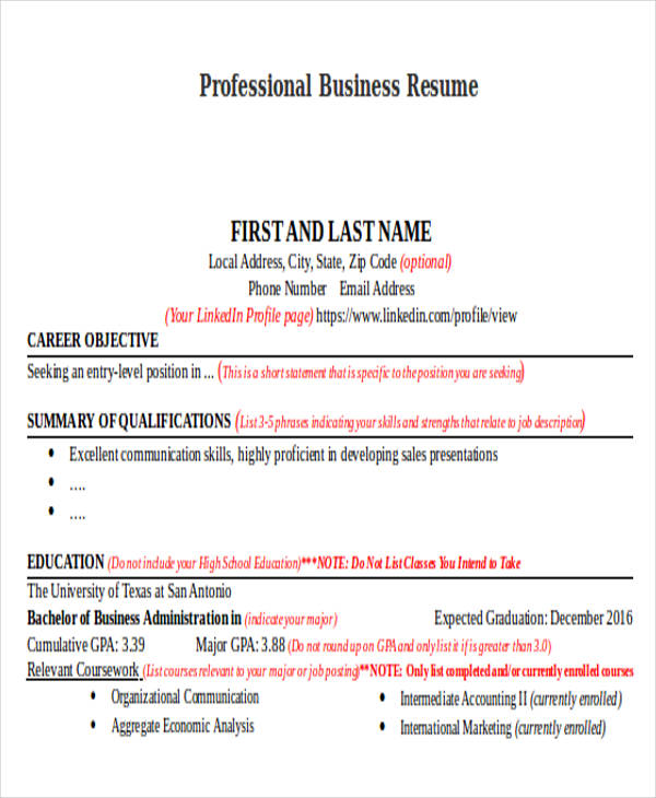 professional business resume example
