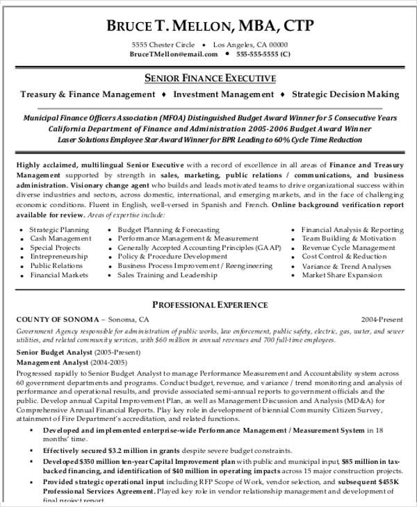 professional finance resume format