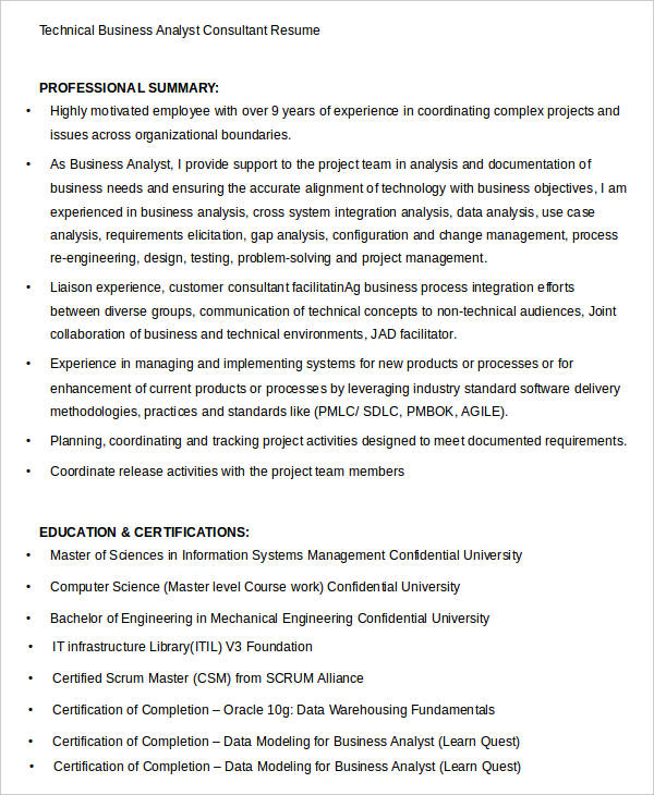 Technical Business Analyst Consultant Resume