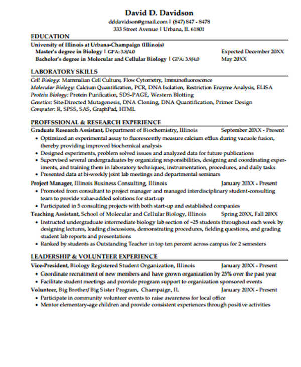 office work experience resume