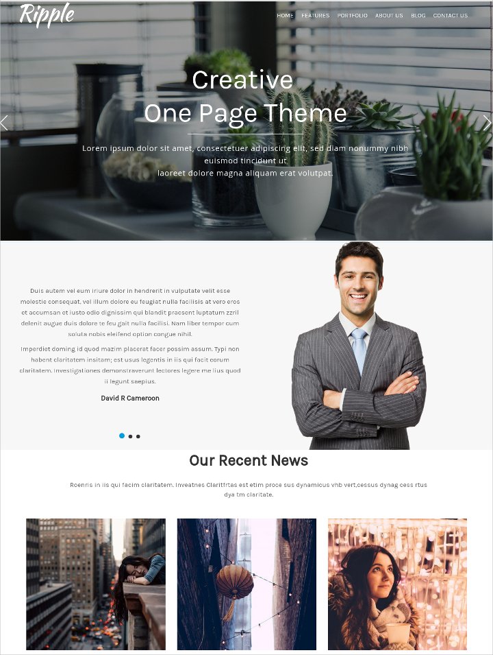 simple one page wordpress theme21