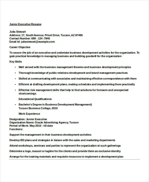 junior finance executive resume