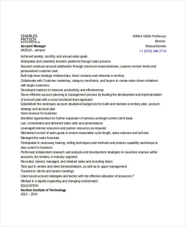 account manager executive resume