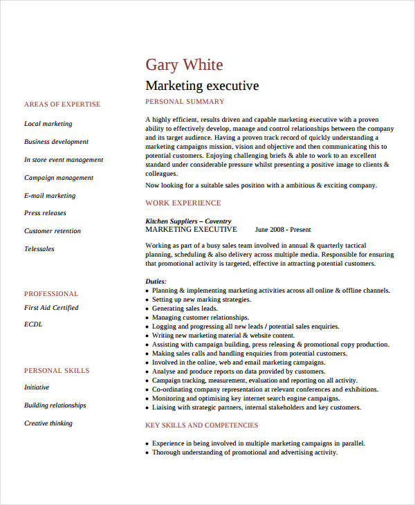 marketing executive resume in pdf