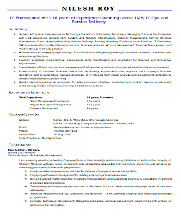 it manager resume doc