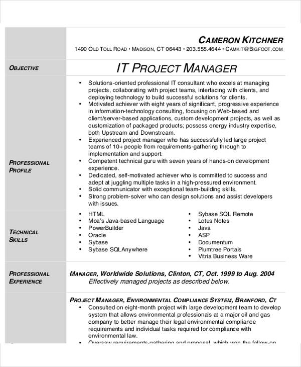 professional-project-manager-resume