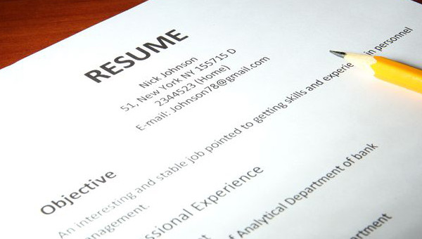 30+ Accountant Resume Templates Download