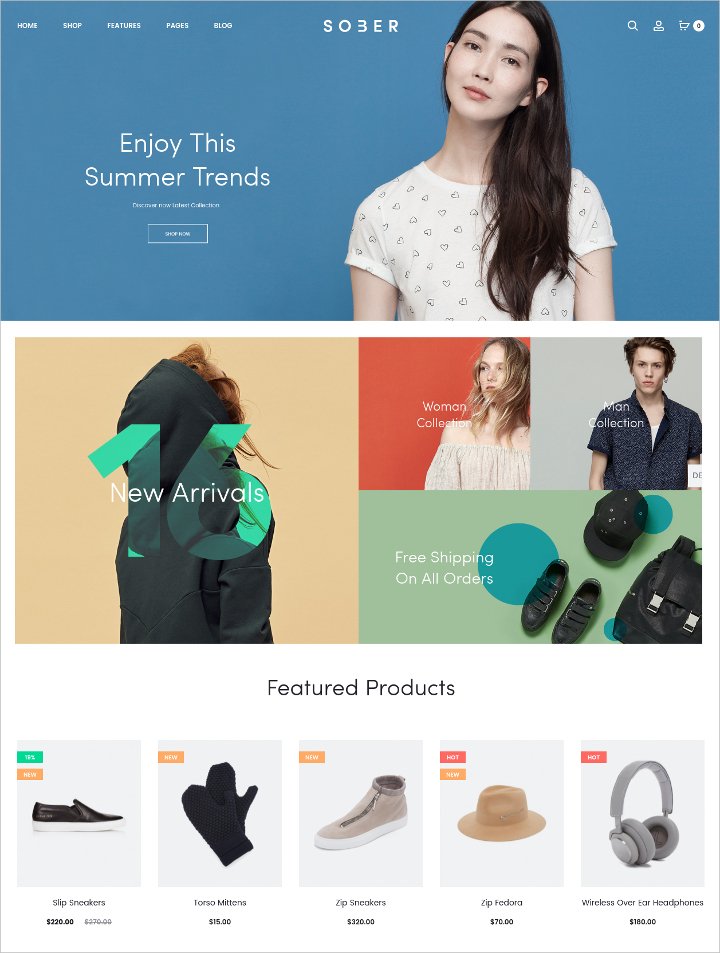 modern wordpress e commerce theme