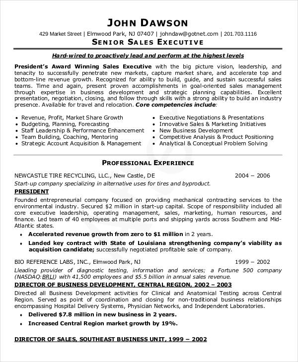 sales executive resume format in word download