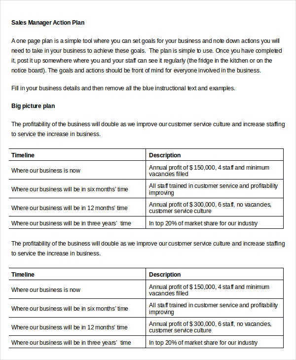 Action Plan Template For Sales Manager 7853