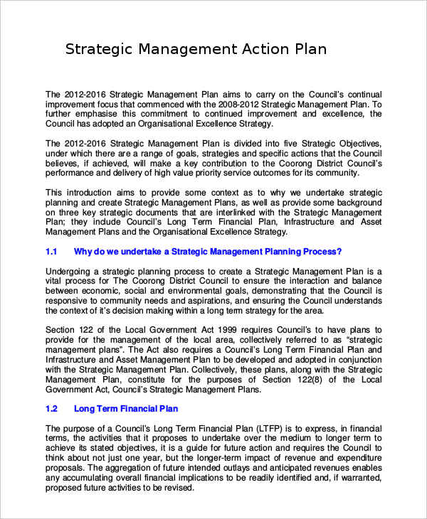 strategic management action plan