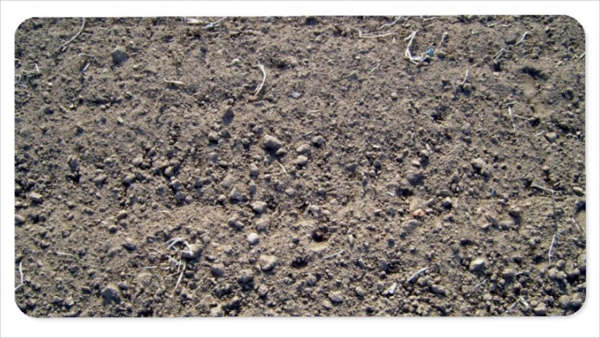 sand stone ground texture