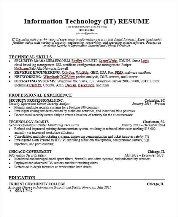 resume template for it professional