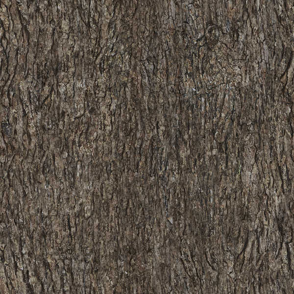 tileable wood bark texture