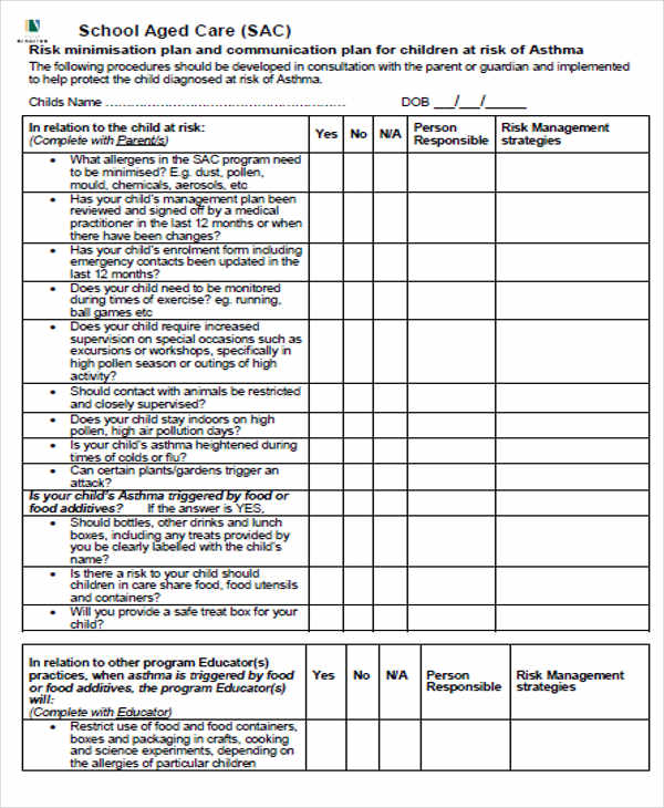 45+ Management Plan Templates - PDF, Word