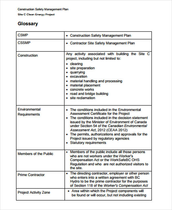 45+ Management Plan Templates PDF, Word Free & Premium Templates