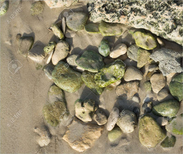 common beach rock texture