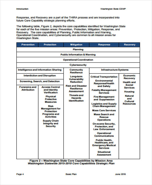 45+ Management Plan Examples - PDF, Word