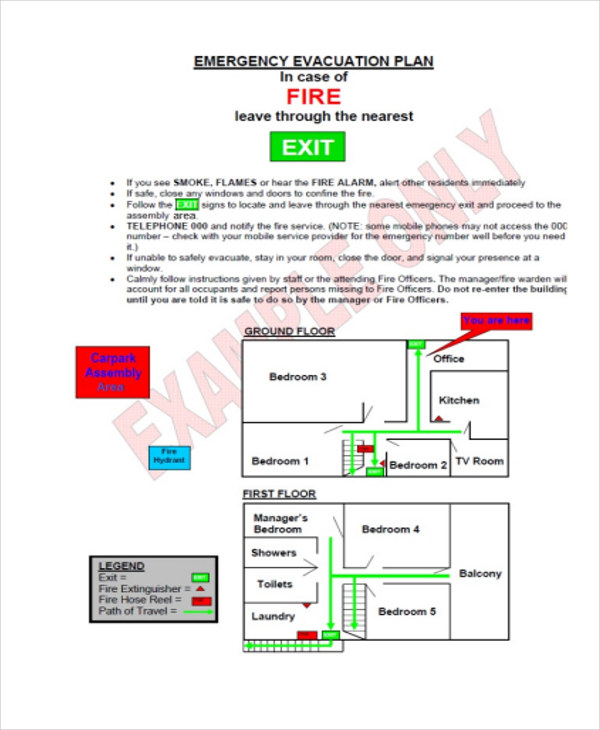 45-management-plan-examples-pdf-word-free-premium-templates