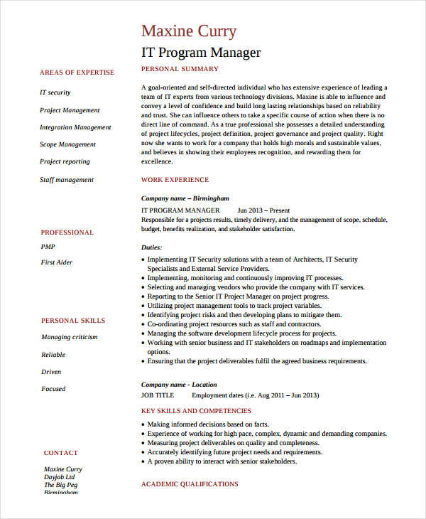it program manager resume