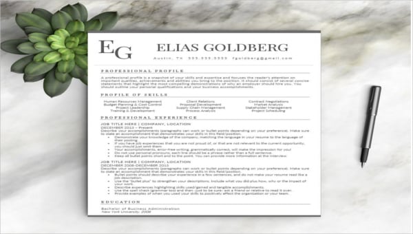 purchase executive resume format in word