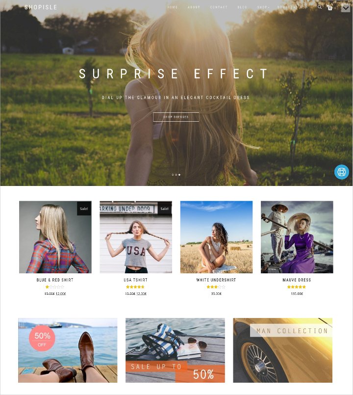 free wordpress template for ecommerce11
