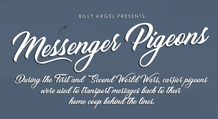 messenger pigeons
