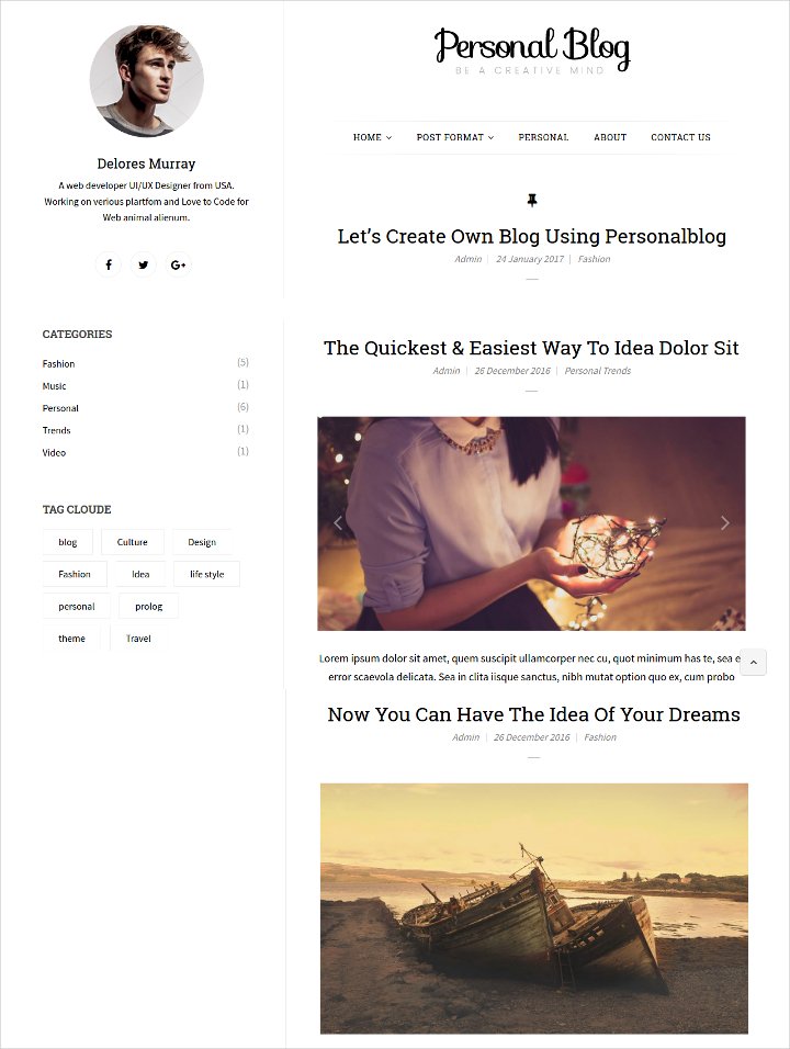 personal blogging wordpress theme11