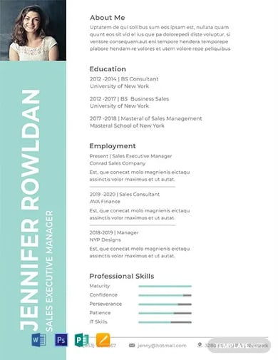 professional sales executive resume format template