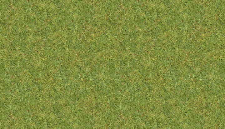 short grass