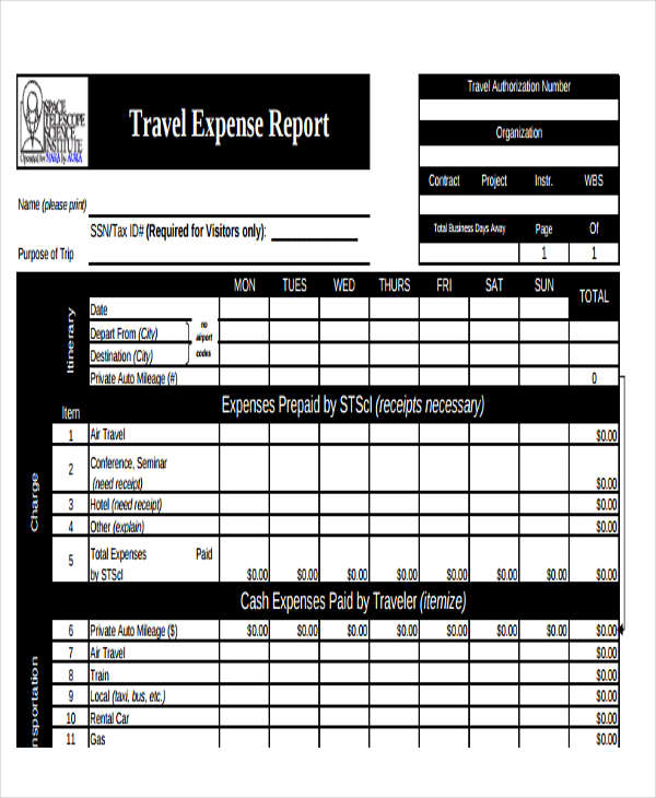 company travel expense report