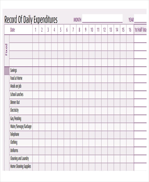 daily expense report format